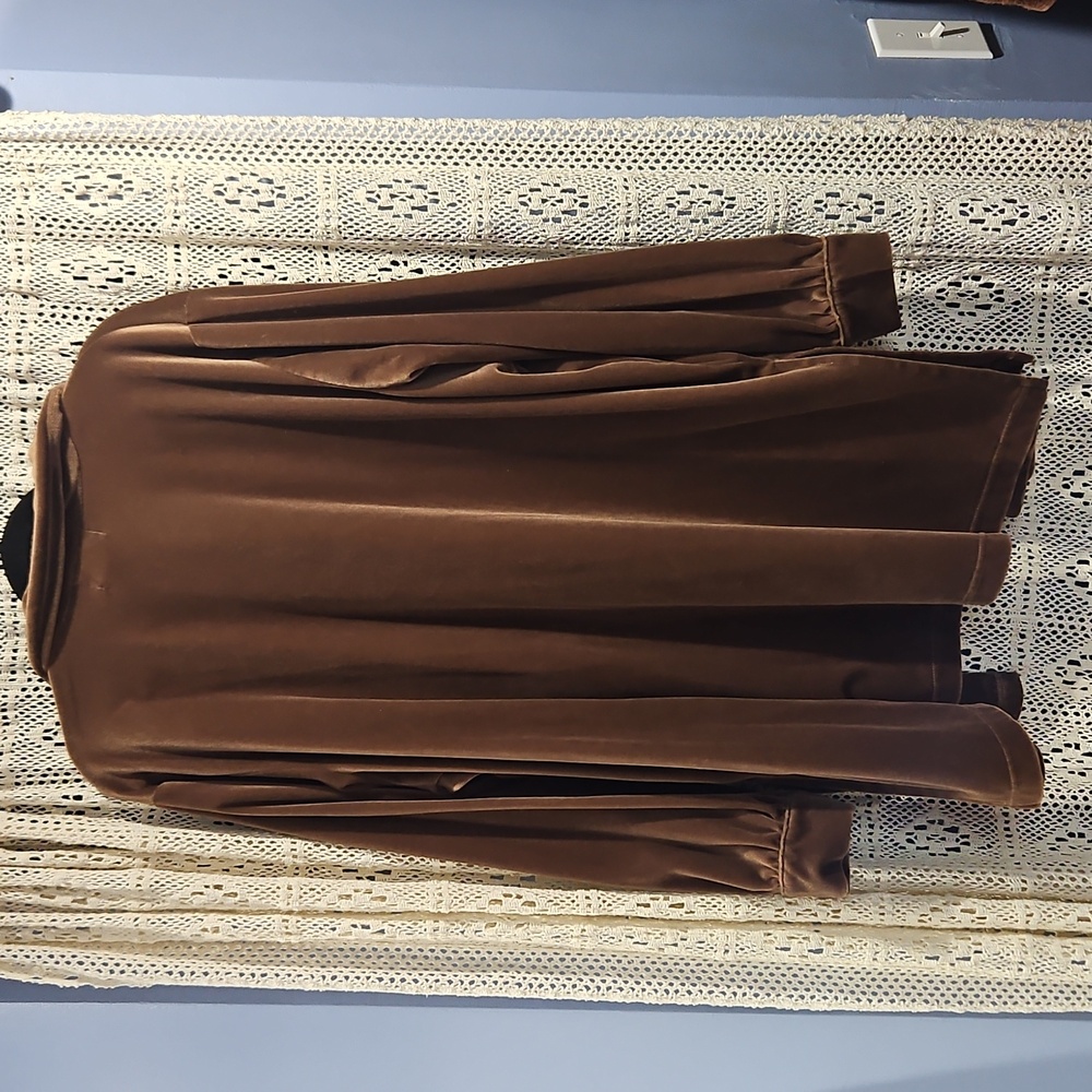 Brown Velvet Button Down Shirt - Picture 4 of 4